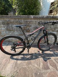 specialized epic carbon