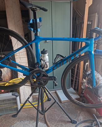 Giant TCR xs
