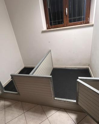 Box x cani