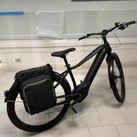 Bicicletta Elettrica