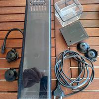 schiumatoio acquario marino