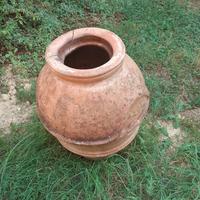 coppo orcia fattoria fine 1800 Campo Pisa
