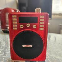 Mini radiolina 