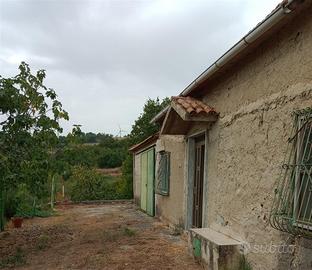Terreno con abitazione di proprietà