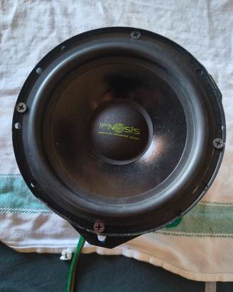 coppia di altoparlanti