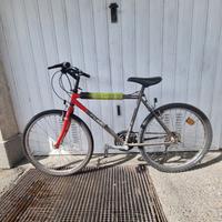 Bicicletta PEAK 26''