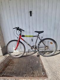 Bicicletta PEAK 26''