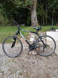 Bicicletta trekking  Carratt