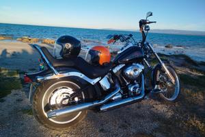 Harley Davidson softail 2009 cc. 1584