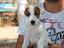 Immagine 3