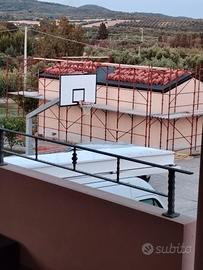 canestro professionale