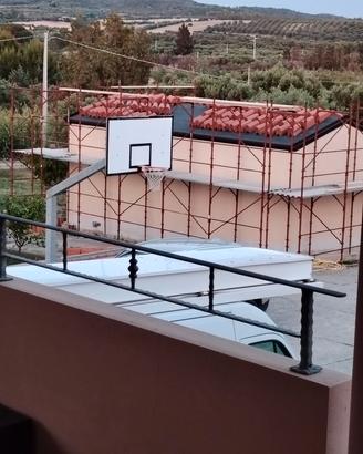 canestro professionale