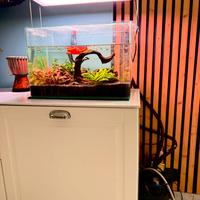 Acquario Design Completo: pari al nuovo!