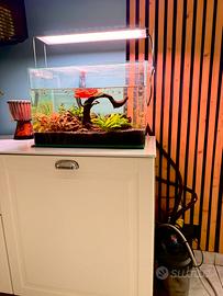 Acquario Design Completo: pari al nuovo!