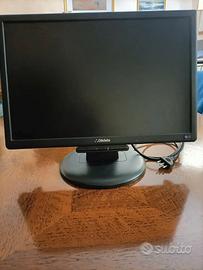 Monitor Olidata 19" PC COMPUTER TW999 VGA