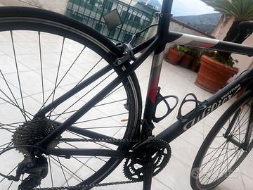 Wilier Montegrappa 2023