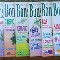 riviste Bonsai Italiano - Collezione 29 numeri