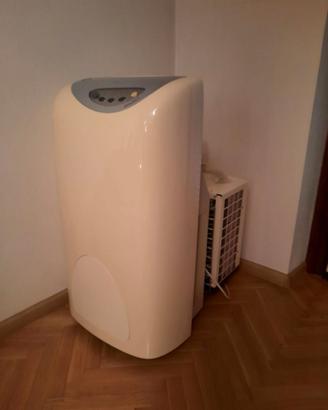 Condizionatore portatile