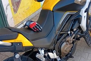 QJ Motor SVT 650 - 2024