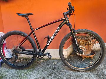Spacialized Epic 29''
