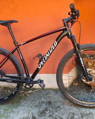 Spacialized Epic 29''