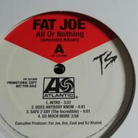 LOTTO 55 VINILI RAP HIP HOP RNB FAT JOE GHOSTFACE