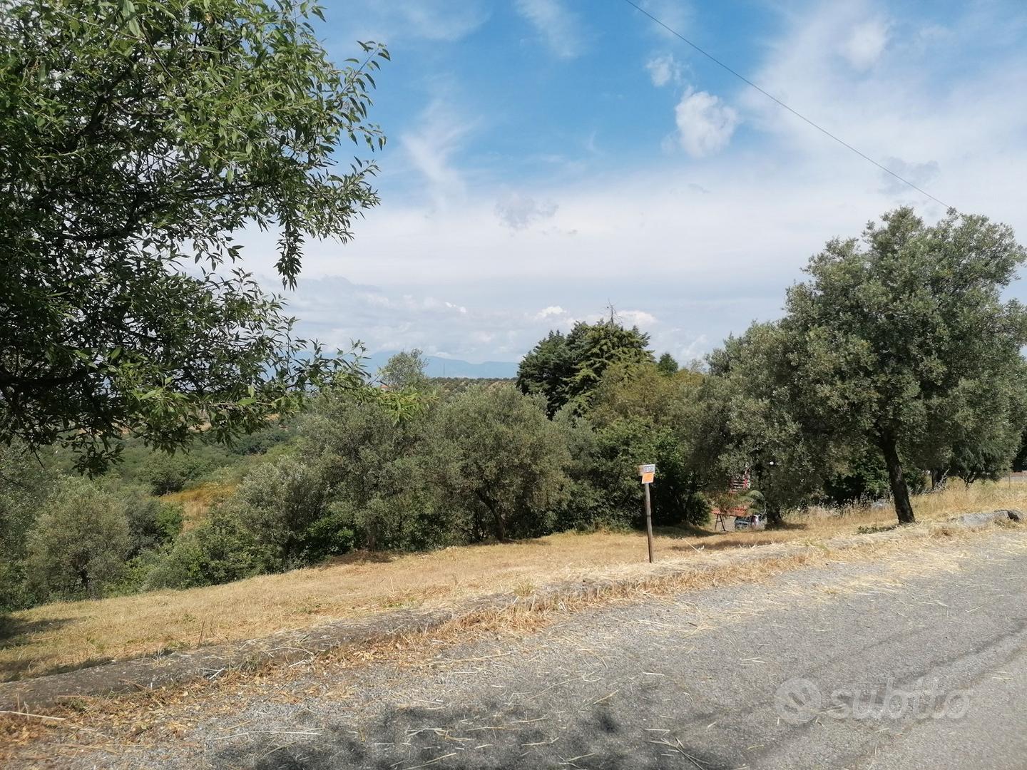 Terreno agricolo con possible costruzione - Altro
