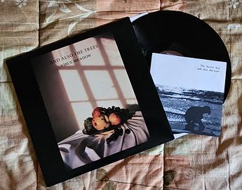 Vinile Lp 33 giri And Also the Trees