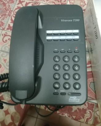 telefono fisso 