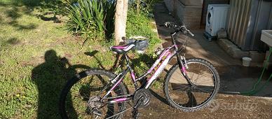 Bici da passeggio