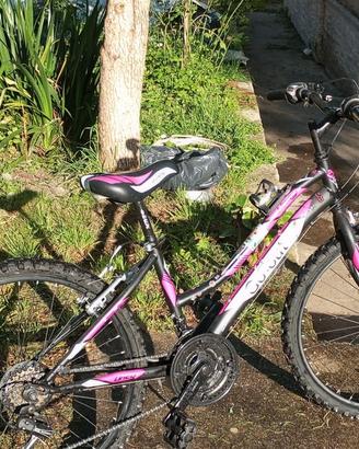 Bici da passeggio