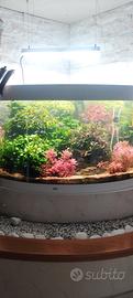 acquario completo modello juwel Trigon 190