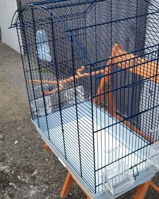 Gabbietta per pappagalli