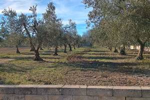 Terreno e Fabbricato
