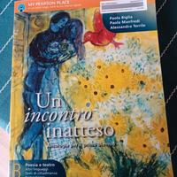 Un incontro inatteso B