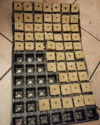 cubi rockwool