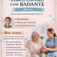 Badante