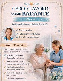 Badante