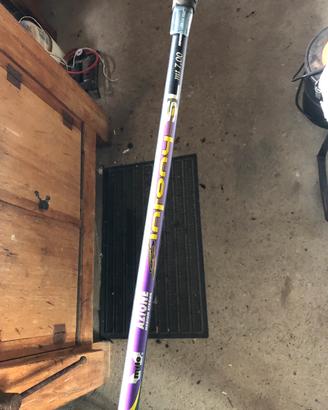 Bolognese Milo 7mt