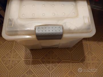 Scatole Portaoggetti con Coperchio e Ruote