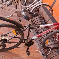 Bicicletta uomo 