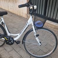 bici elettrica 