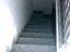 Immagine 8