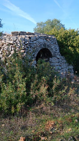 Terreno 11000 mq con un trullo