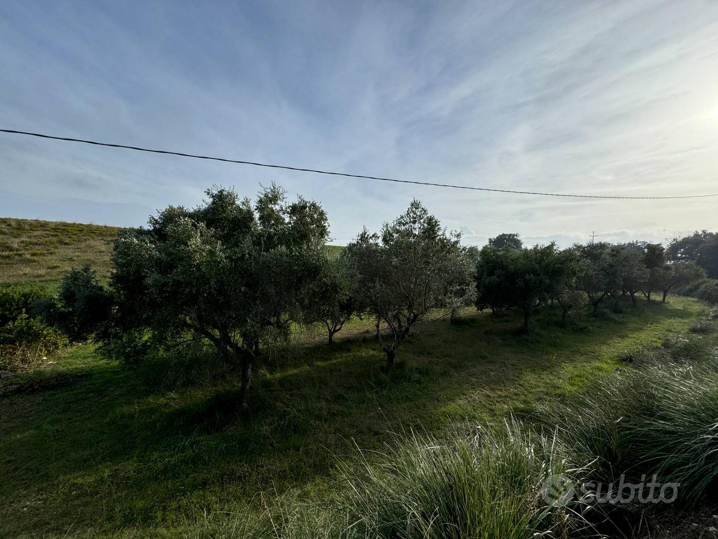 Terreno - Lapedona - Vista 4