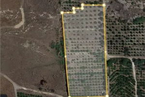 Vendita di terreno in strada statale 385, s.n.c