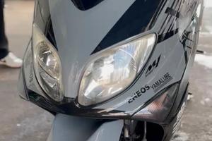 Tmax 500