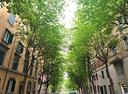 3-locali-a-roma