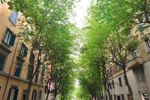 3 LOCALI A ROMA