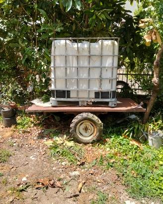 carrello